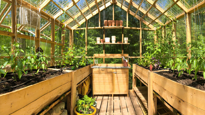 How To Choose and Install The Best Greenhouse