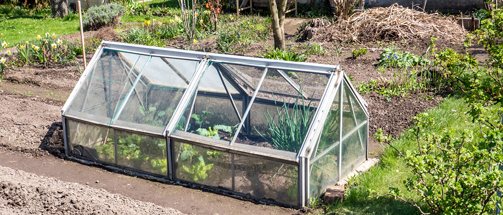 How To Choose and Install The Best Greenhouse