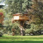 How to Build a Tree House to Escape