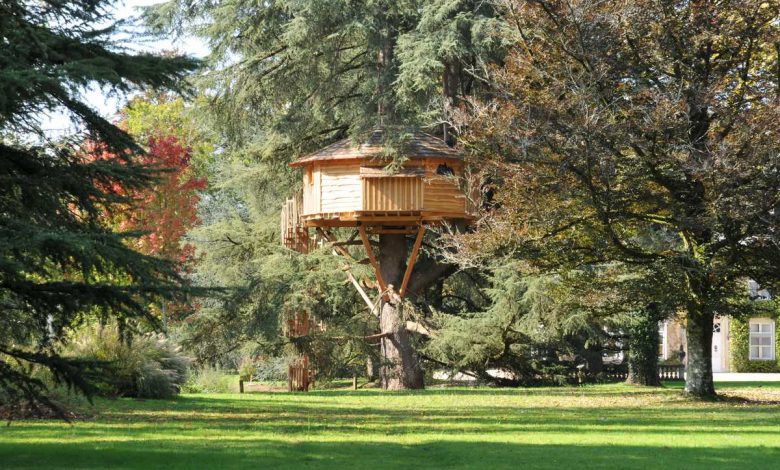 How to Build a Tree House to Escape