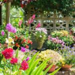 How to Create Your Own Landscape Garden: The Art of the Landscaper