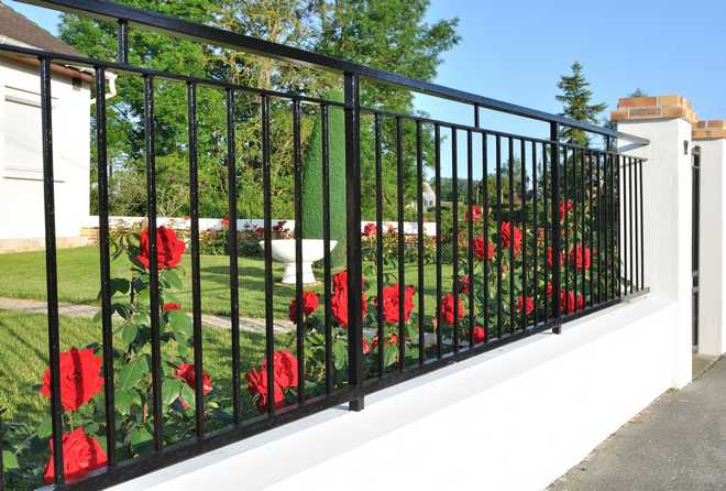 Which fence to choose for your garden? Advice