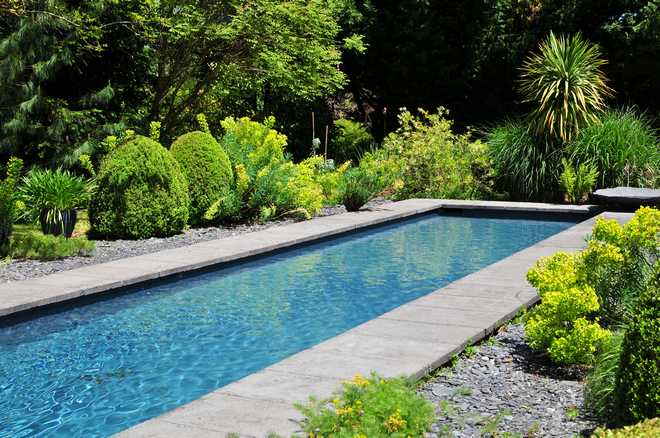 Ideas For Successful Landscaping Around a Swimming Pool