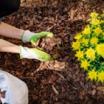 How to Install a Natural Slate or Bark Mulch