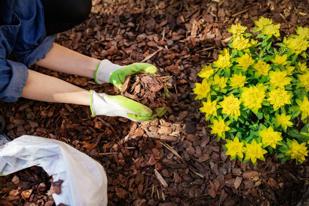 How to Install a Natural Slate or Bark Mulch