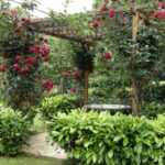 5 Ways to Improve Your Garden with a Pergola