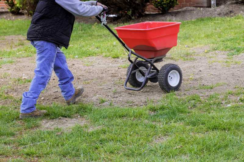 How To Renovate Your Lawn Without Turning The soil?