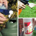 15 Amazing Gardening Uses for Dawn Dish Soap