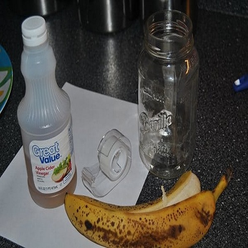 Banana Peel Vinegar for Plants That Like Acidity