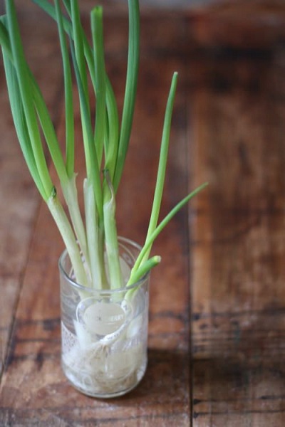 Green Onion