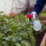 Here Are 10 Gardening Uses of White Vinegar That You've Never Thought Of