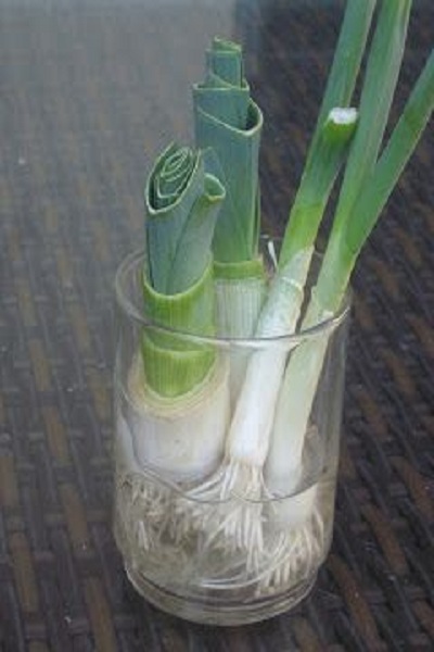 Leeks