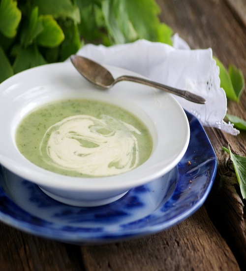 Lovage Creamy Soup