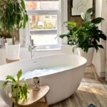 Make your Bathroom Green with 10 Plants that Thrive in Humid & Dim Spaces