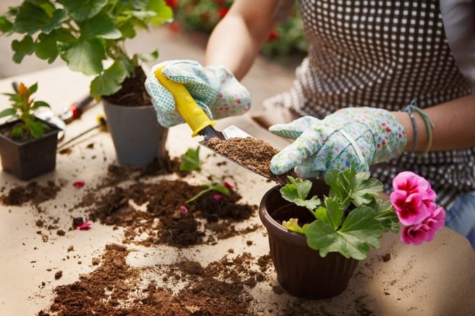 Rejuvenate Your Potting Soil Now with These 9 Tips & Tricks!