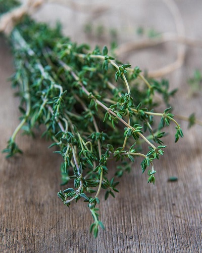 Thyme