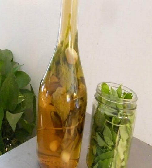 Vinegar infused with lovage