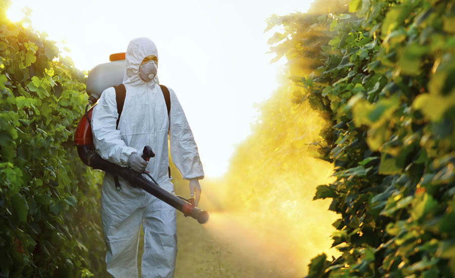 Why Not Use Chemical Pesticides