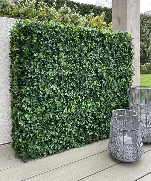 Artificial Boxwood