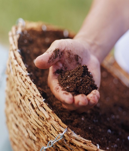 Choosing The Best Soil For Hanging Baskets