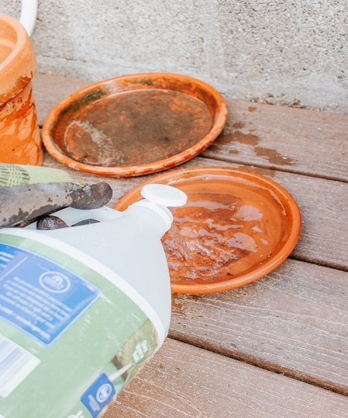 Cleaning Clay Pots with Vinegar