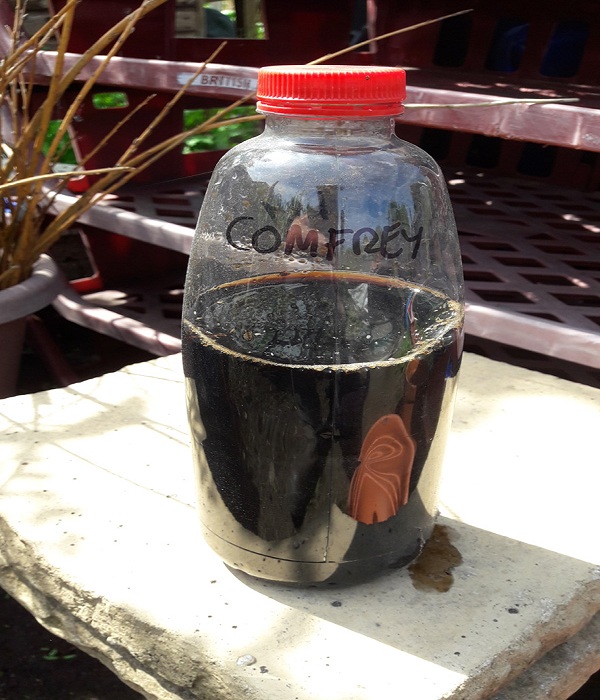  Comfrey-Liquid-Fertilizer-Storage