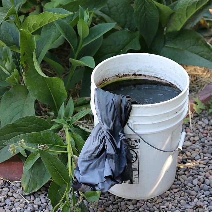 Comfrey-Liquid-Fertilizer