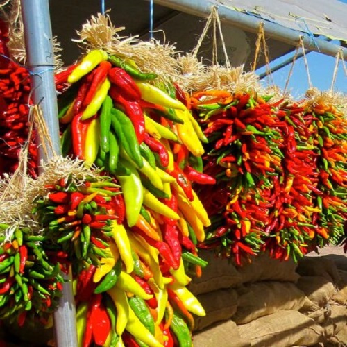 DRYING PEPPERS