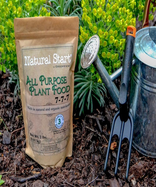 Finding the Best Fertilizer for Your Plants