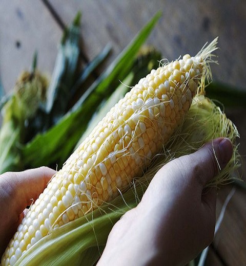 Get Fresh Corn