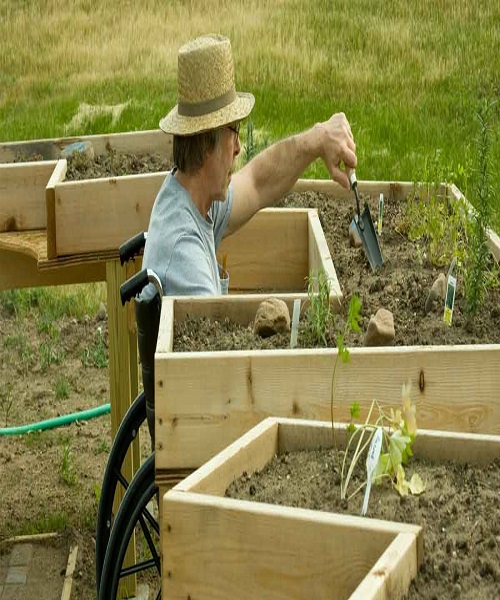 Goldilocks and the Incorrect Size Raised Bed