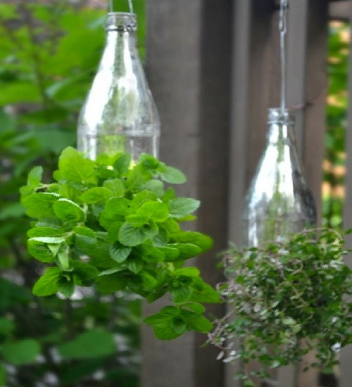 If you don't have a lot of room in your house or apartment, you can still have a garden with these beautiful gardens in bottles.