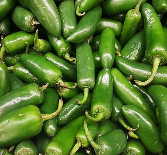 Jalapeno-Peppers-1