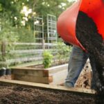 Make Sure You Don't Make These 14 Raised Bed Mistakes!