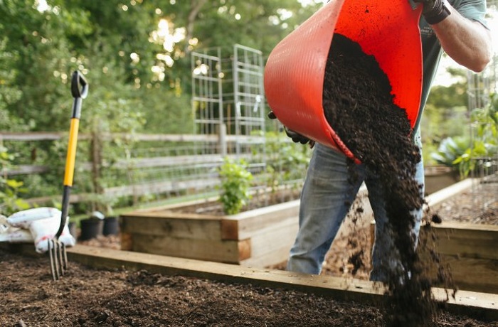 Make Sure You Don't Make These 14 Raised Bed Mistakes!