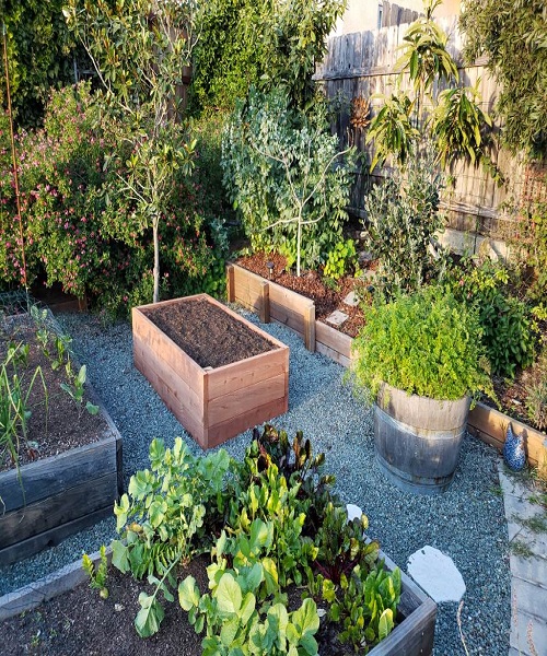 Pay Attention to the Location of Your Raised Bed