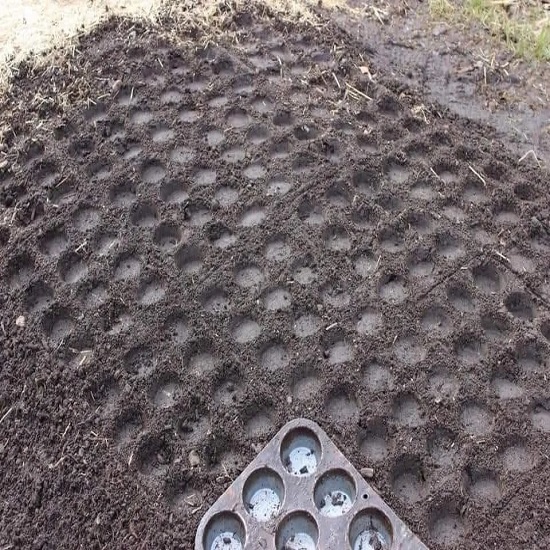 Plant seeds far apart by pushing a muffin tin into the ground