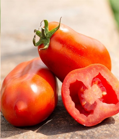 San-marzano-tomato