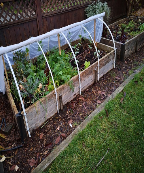 Skipping Polytunnels