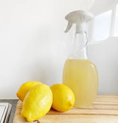Use lemon to keep roaches at bay