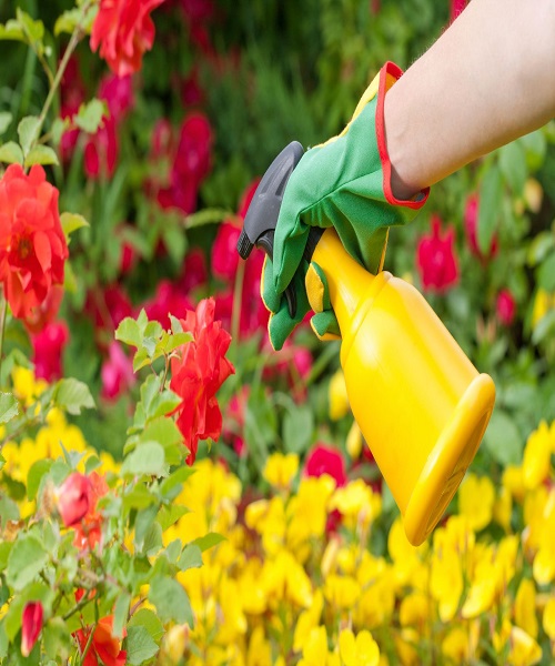 Using Pesticides Near Your Raised Beds