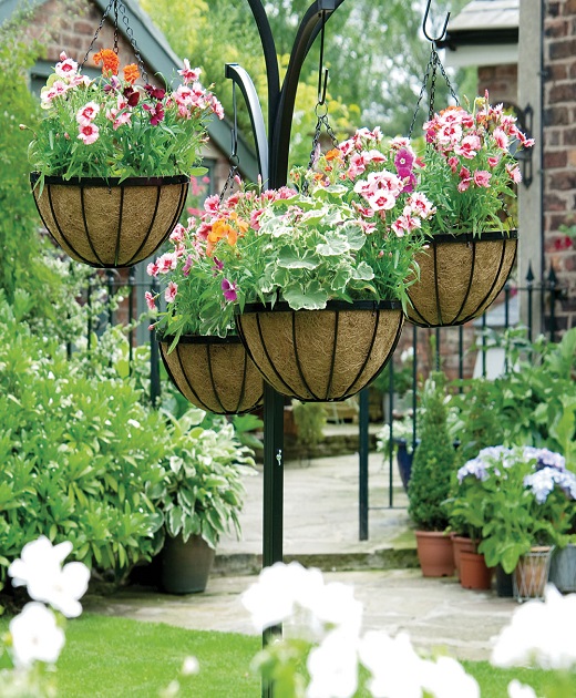 hanging baskets