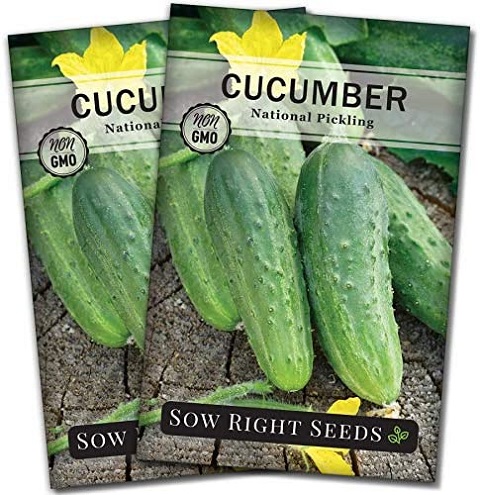 national-pickling-cucumber-seed