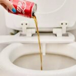 10 Bizarre but Effective Methods for Cleaning your Toilet