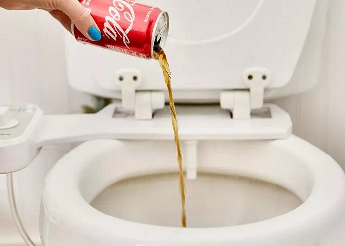 10 Bizarre but Effective Methods for Cleaning your Toilet