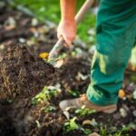 3 Easy, Low-Cost Ways to Recharge Your Garden Soil This Fall