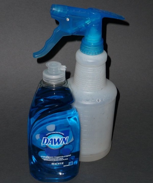 Dawn Soap Spray