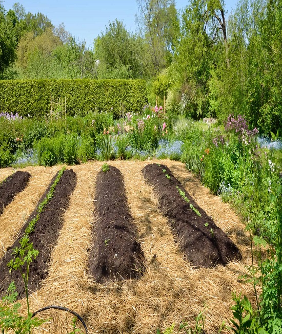 How to Make a Raised Row Garden in the Fall 