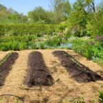 How to Prepare Your Garden Beds for Success This Fall