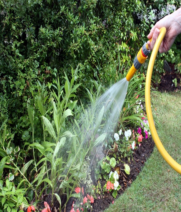 Keep watering the garden